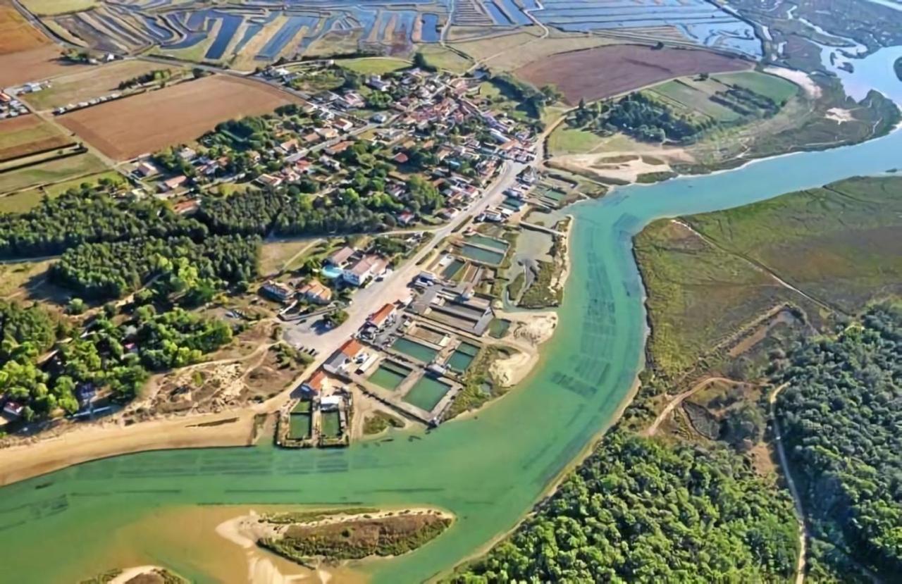 Talmont-Saint-Hilaire La Maisonnette Du Payre المظهر الخارجي الصورة